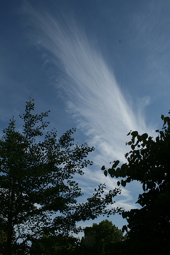 Mare's Tail Sky