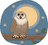 LITTLE OWL