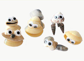 Sea-shell creatures