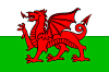 The Welsh Dragon./ Y Draig Goch.