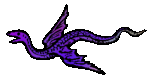 wing dragonsnake