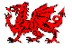 Welsh Dragon wf