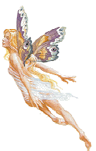 fairy-butterfly-w