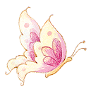 cream and pink butterfly