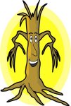 woody tree funny