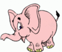 elephant pink[1]