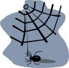 grey spiders web