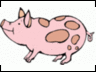 animals pig[1]