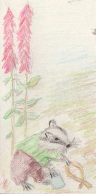 Badger and delphiniums