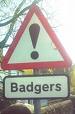 Badgers Crossing