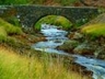 Snowdonian stream