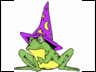 frog wizard