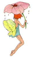 Fairy Flower in the Rain