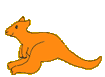 Kangaroos without flaps