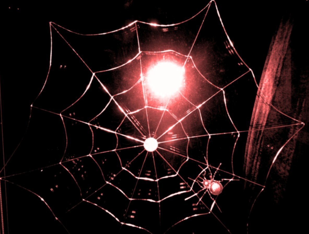 moon through a spiders web.